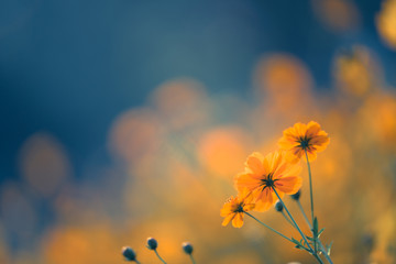 5分解与组成怎么教孩子