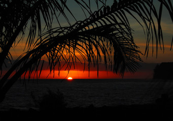 九年级英语Unit4的重要知识点梳理