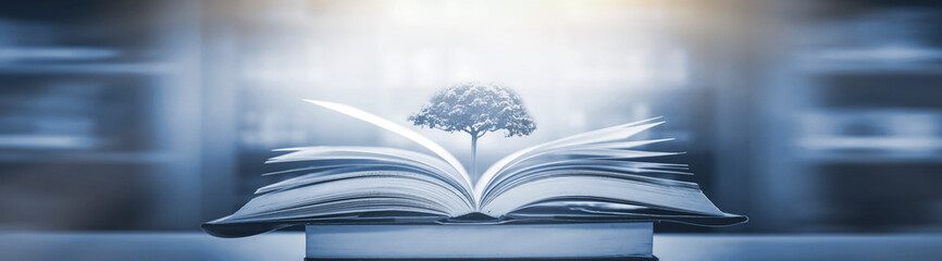 六一儿童节手抄报要写的字