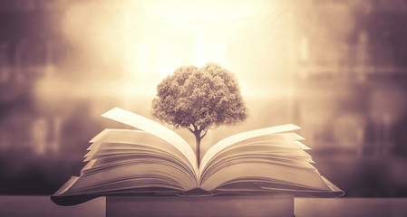 洛阳二外小学一年级开设英语课吗