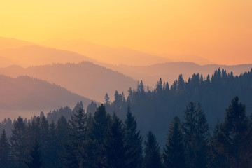 衣服尺码中常用到的XL、2XL、3XL对应的具体身高是多少？