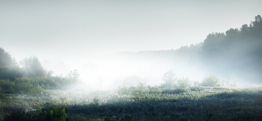 5分解与组成怎么教孩子