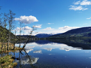 歌词那一天爸爸和妈妈离开了家歌名叫什么