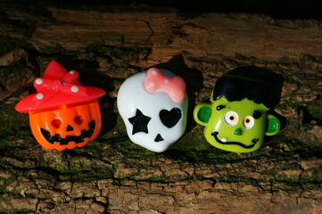 洛阳二外小学一年级开设英语课吗