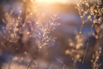 九年级英语Unit4的重要知识点梳理