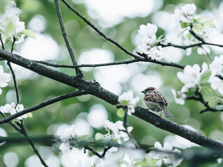 六一儿童节手抄报要写的字