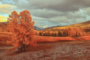 洛阳二外小学一年级开设英语课吗
