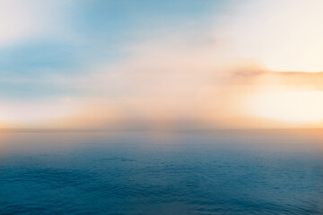 简单的生物问答题 （要答案)答案越短越好