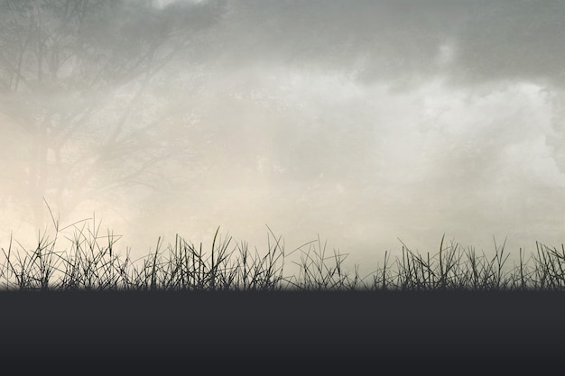 洛阳二外小学一年级开设英语课吗