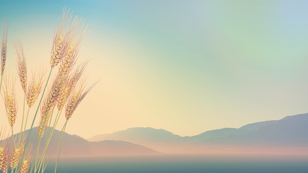 劳动节活动策划总结