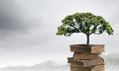 劳动节活动策划总结