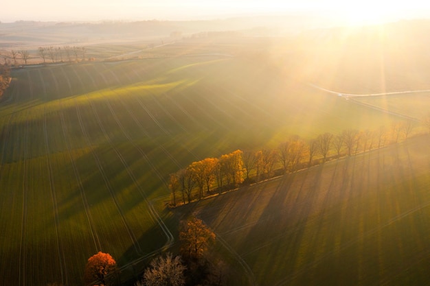 劳动节活动策划总结