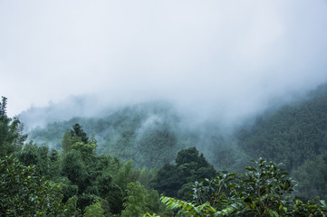 九年级英语Unit4的重要知识点梳理